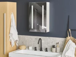 Bad Spiegelschrank Weis / Silber Mit Led-Beleuchtung 40 X 60 Cm Cameron