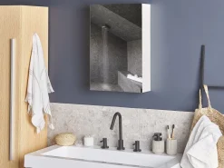 Bad Spiegelschrank Weis / Silber 40 X 60 Cm Primavera