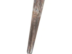 Beistelltisch 2Er Set Mango Holz Dunkelbraun / Cremeweis Rund Adro