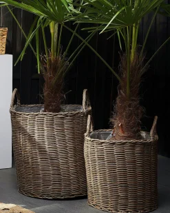 Blumenkorb 2Er Set Rattan Sandbeige Rund Bitola