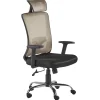 Burostuhl Taupe / Schwarz Hohenverstellbar Noble