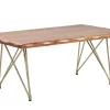 Couchtisch Akazienholz Hellbraun / Gold Rechteckig 70 X 120 Cm Raley