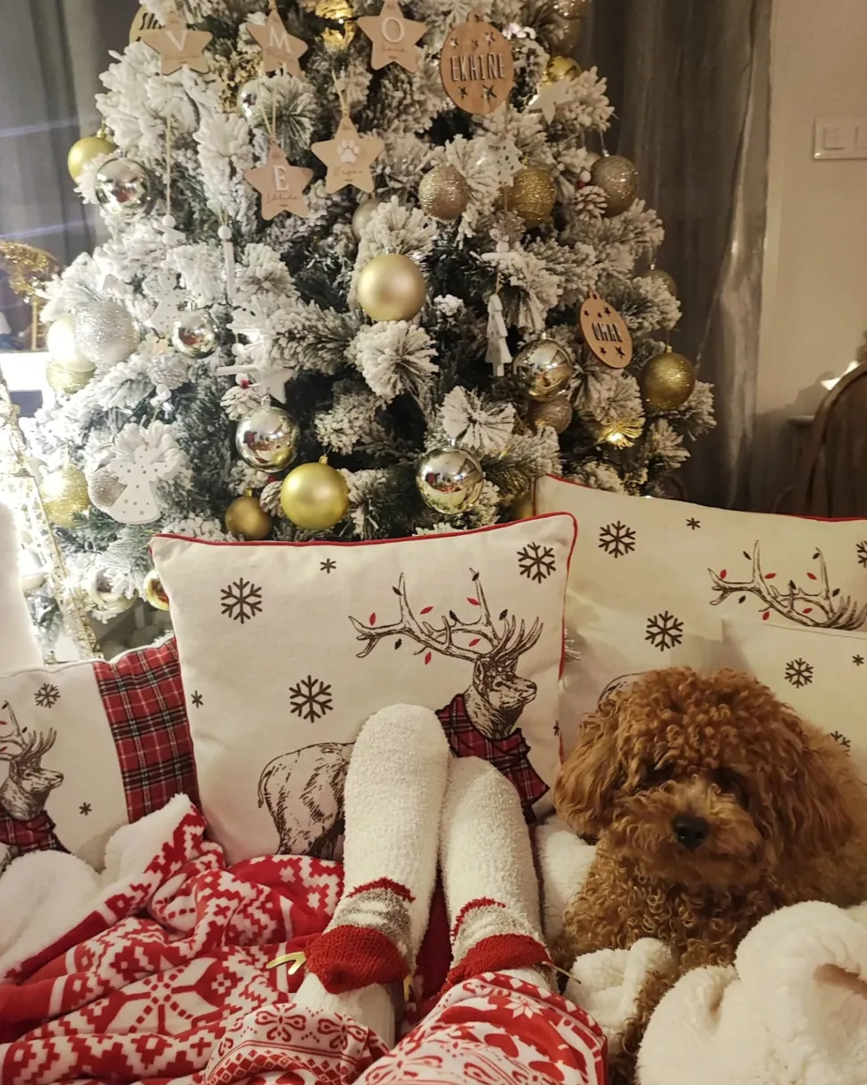 Decke Rot 150 X 200 Cm Weihnachtsmotiv Zweiseitig Vantaa