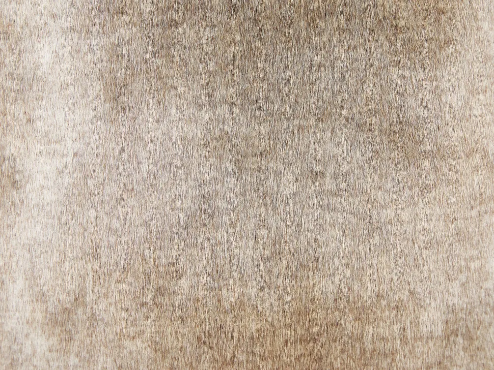 Dekokissen Felloptik Braun 45 X 45 Cm 2Er Set Hordeum