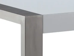 Esstisch Edelstahl Weis 180 X 90 Cm Arctic I