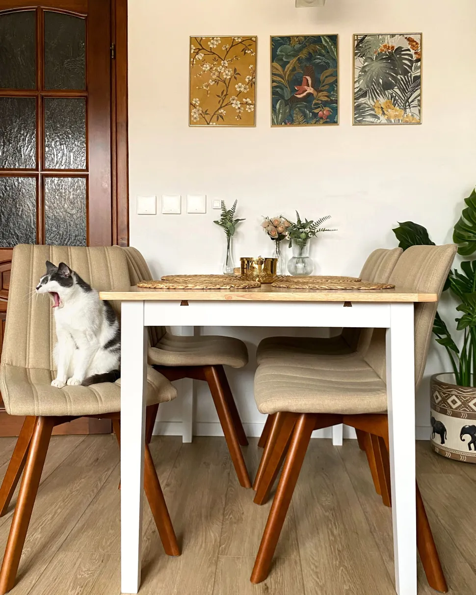 Esstisch Holz Weis 120 X 75 Cm Houston