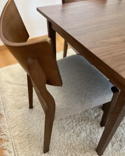 Esszimmerstuhl Gummibaumholz Dunkelbraun / Grau 2Er Set Eden