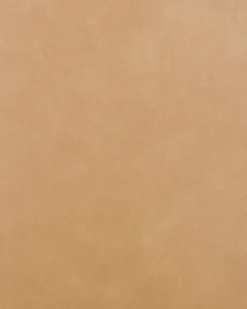 Esszimmerstuhl Kunstleder Sandbeige / Schwarz 2Er Set Luana