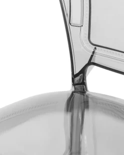 Esszimmerstuhl Kunststoff Transparent Schwarz 2Er Set Vermont