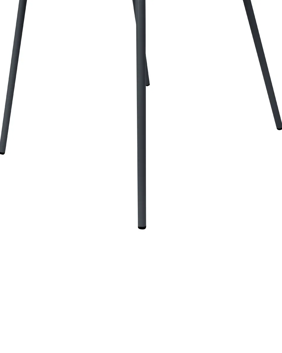 Esszimmerstuhl Kunststoff Schwarz 2Er Set Shonto