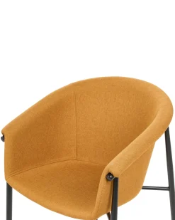 Esszimmerstuhl Orange 2Er Set Ames