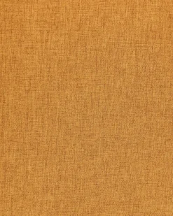 Esszimmerstuhl Orange 2Er Set Ames