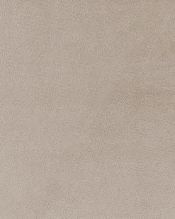 Esszimmerstuhl Samtstoff Taupe / Silber 2Er Set Boonville