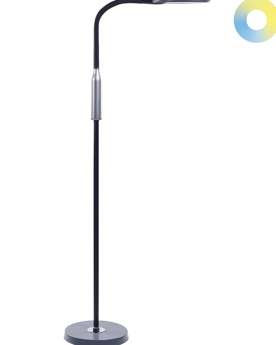 Flurlampe Schwarz Led Cassiopeia