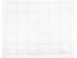 Ganzjahresdecke Polyester 220 X 240 Cm Extra Warm Kabru