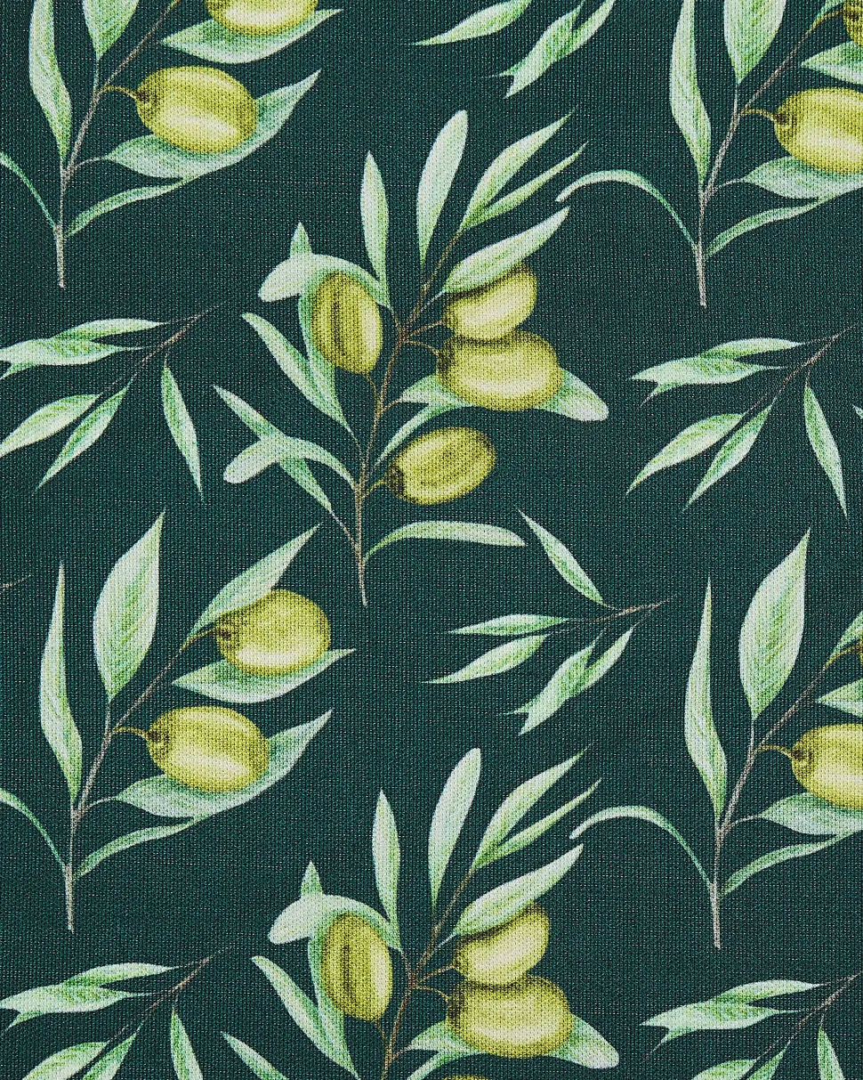 Gartenstuhl Akazienholz Dunkelbraun Textil Cremeweis / Dunkelgrun Olivenmuster 2Er Set Cine
