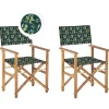 Gartenstuhl Akazienholz Hellbraun Textil Grau / Dunkelgrun Olivenmuster 2Er Set Cine