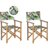 Gartenstuhl Akazienholz Hellbraun Textil Grau / Bunt Tukanmotiv 2Er Set Cine