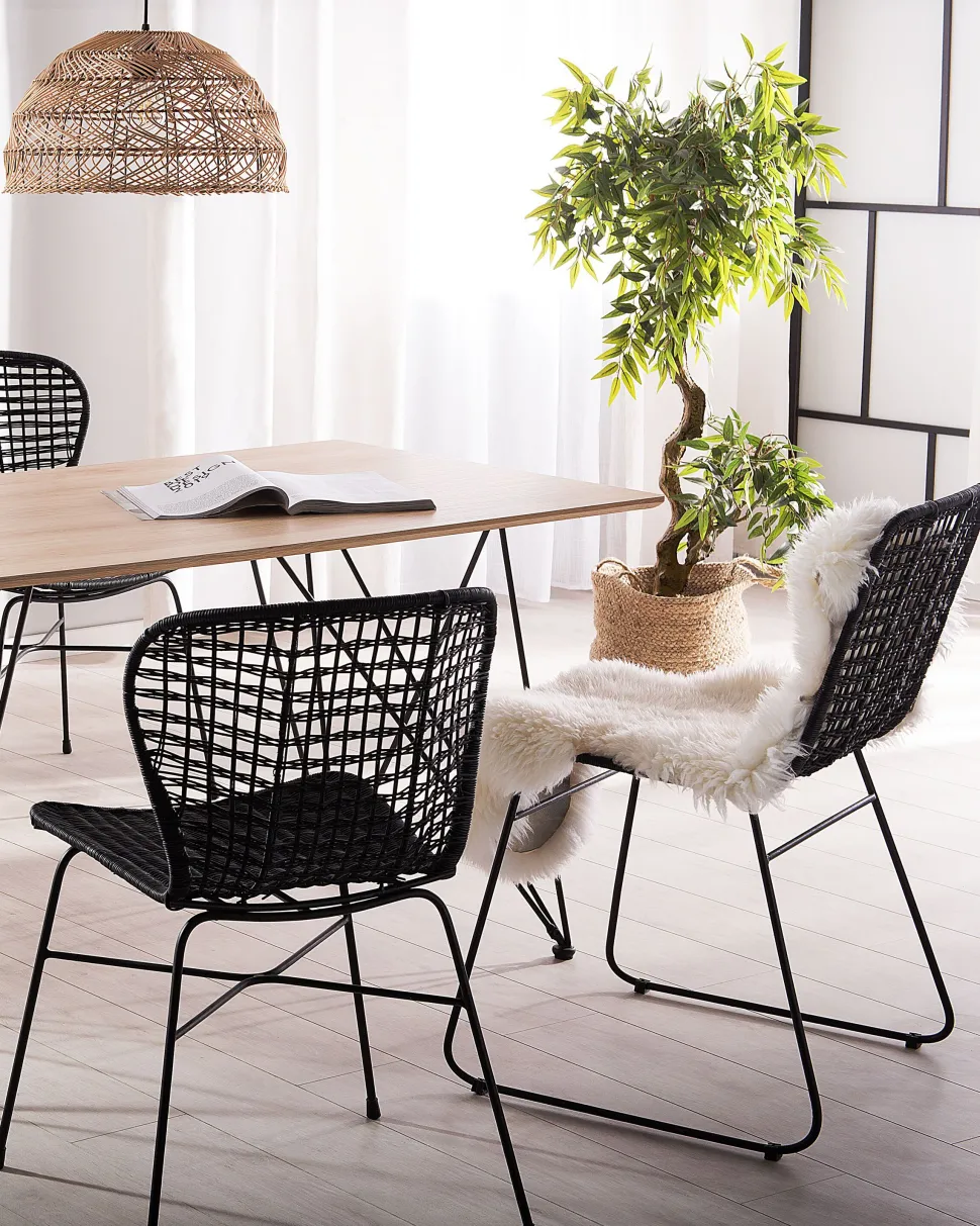 Rattanstuhl Schwarz 2Er Set Elfros