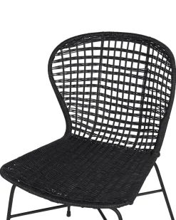 Rattanstuhl Schwarz 2Er Set Elfros
