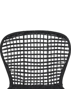 Rattanstuhl Schwarz 2Er Set Elfros