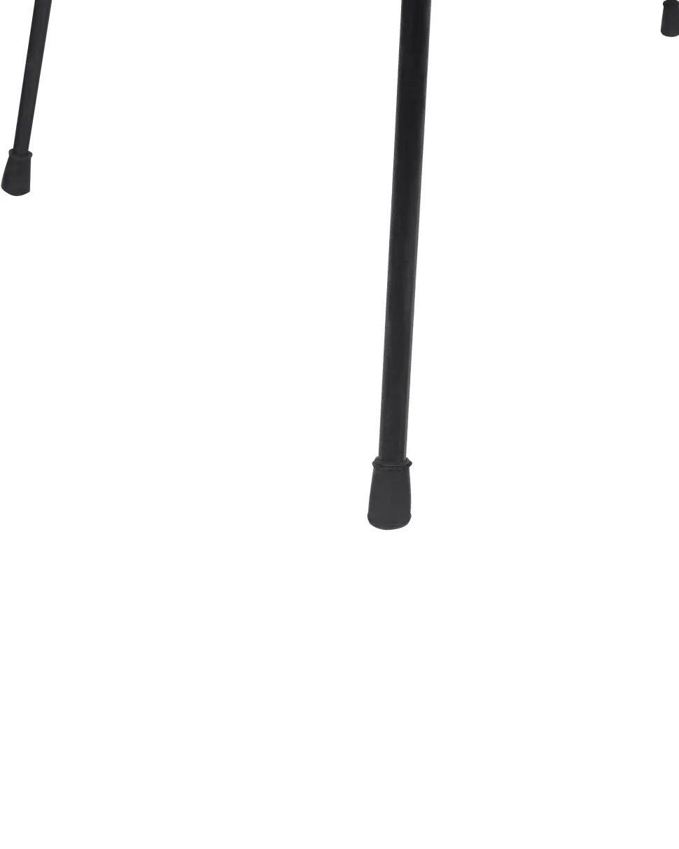 Rattanstuhl Schwarz 2Er Set Elfros