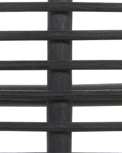 Rattanstuhl Schwarz Togo