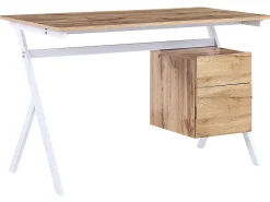 Schreibtisch Heller Holzfarbton / Weis 120 X 60 Cm Schublade Mit Schrank Ashland