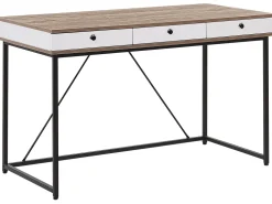 Schreibtisch Heller Holzfarbton / Weis 120 X 60 Cm 3 Schubladen Hinton