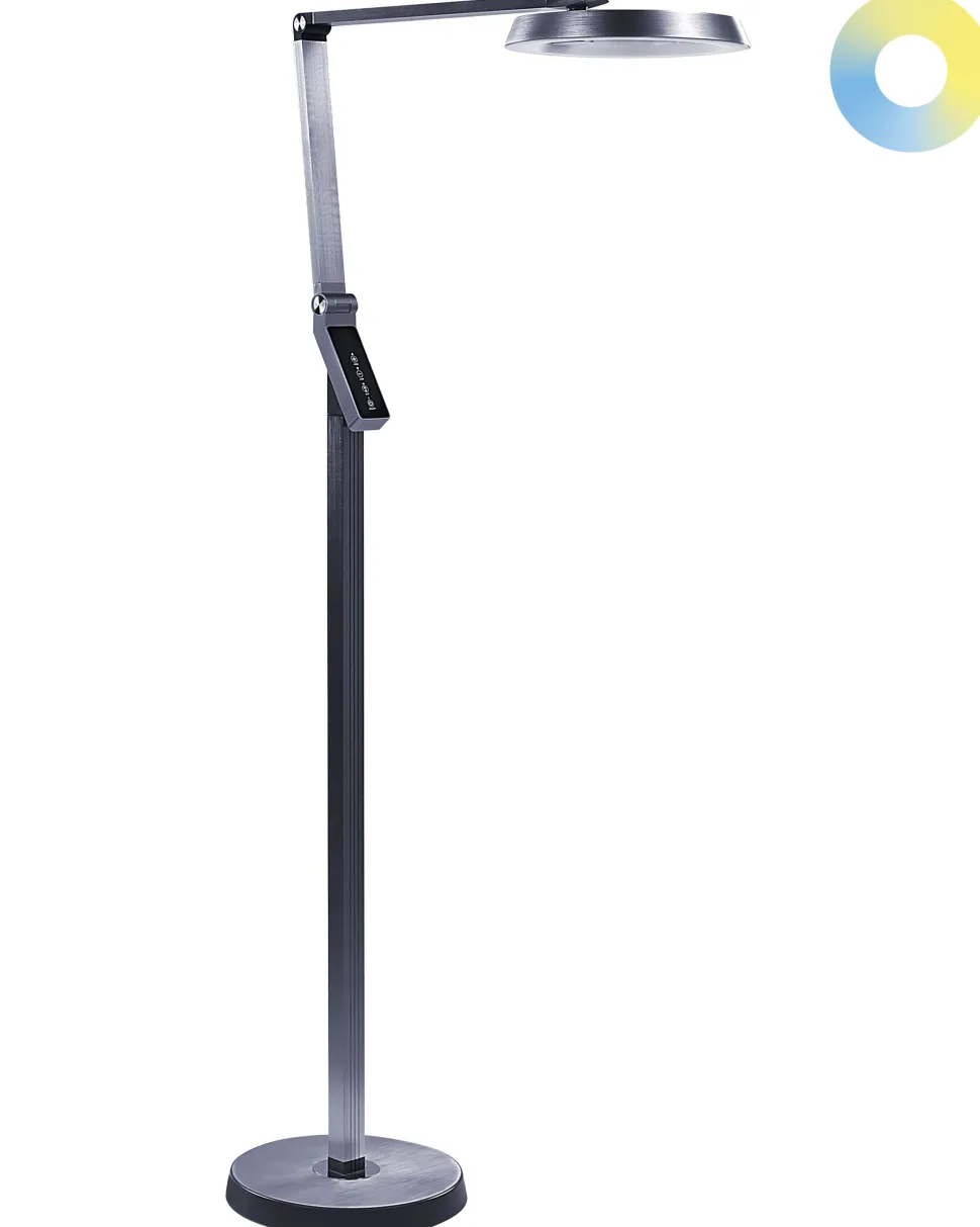 Stehlampe Led Dunkelgrau 170 Cm Rund Carina