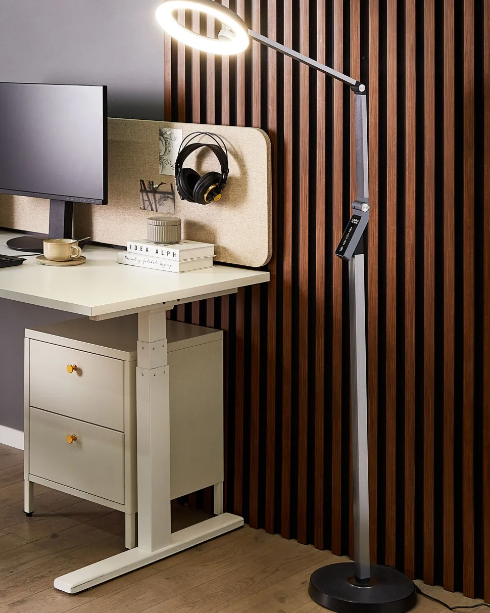 Stehlampe Led Dunkelgrau 170 Cm Rund Carina