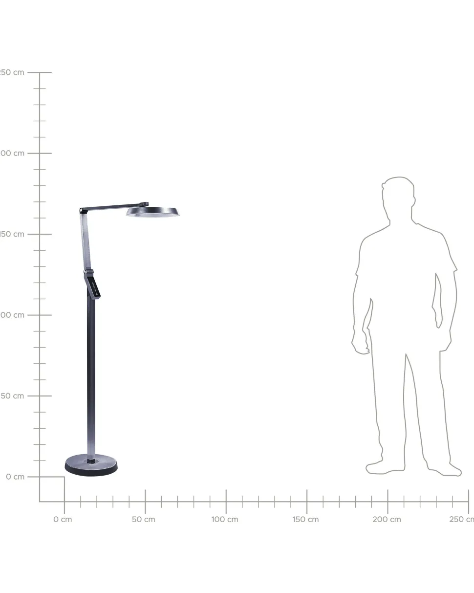 Stehlampe Led Dunkelgrau 170 Cm Rund Carina
