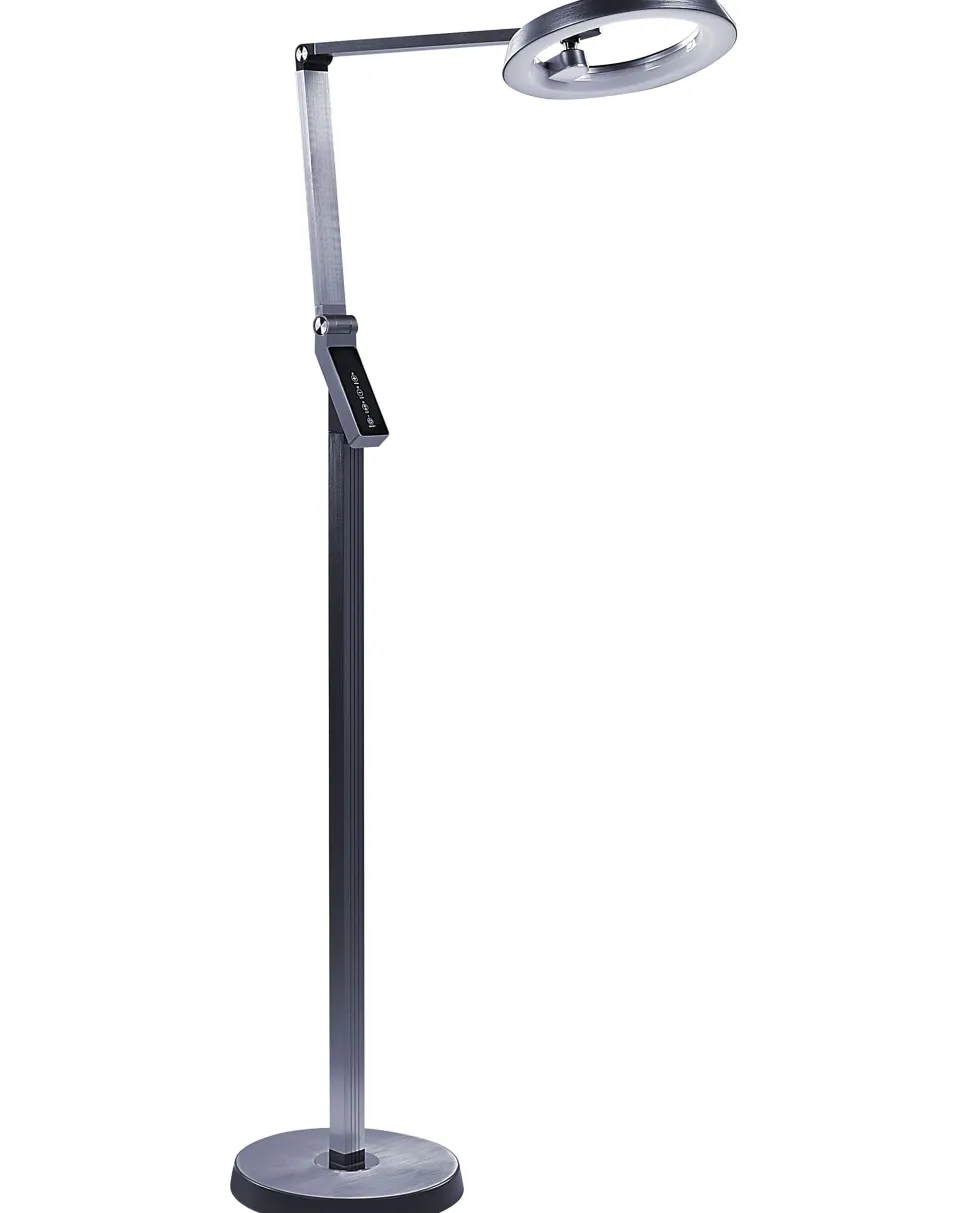Stehlampe Led Dunkelgrau 170 Cm Rund Carina