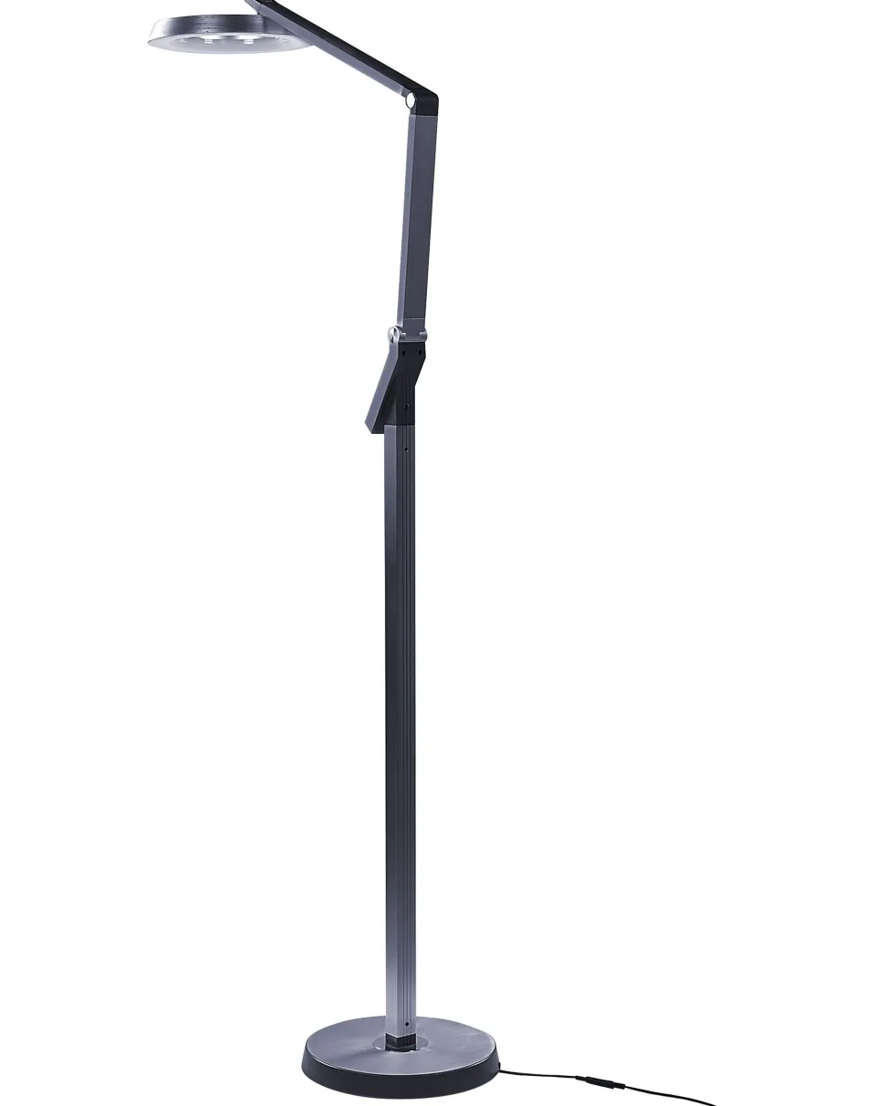 Stehlampe Led Dunkelgrau 170 Cm Rund Carina