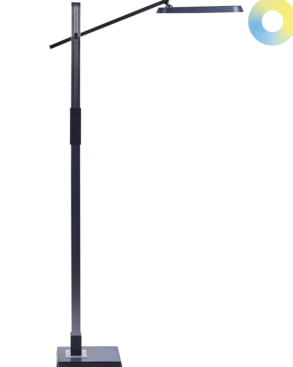 Stehlampe Led Dunkelgrau 144 Cm Rechteckig Aquarius