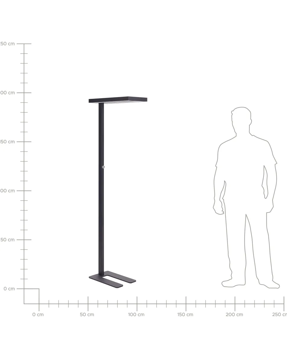 Stehlampe Led Metall Schwarz 197 Cm Rechteckig Taurus