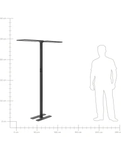 Stehlampe Led Schwarz 2-Flammig 196 Cm Rechteckig Sculptor