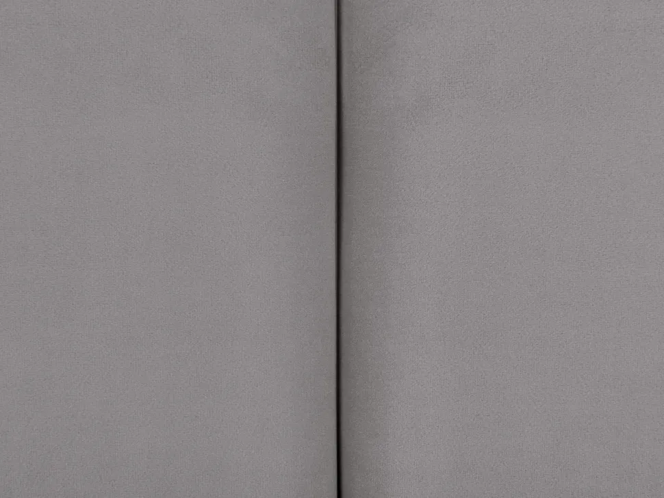 Tagesbett Ausziehbar Samtstoff Hellgrau 90 X 200 Cm Eyburie