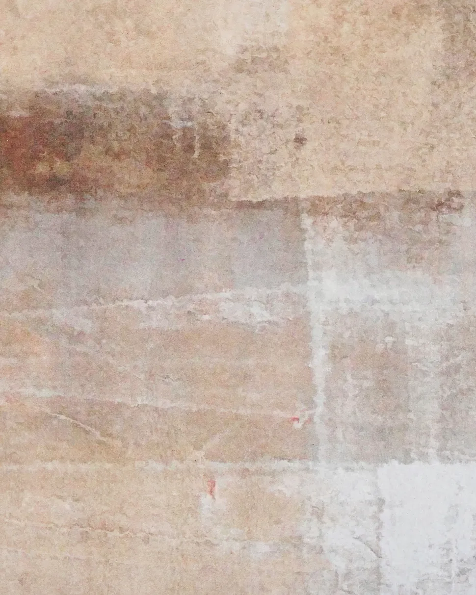 Teppich Braun 80 X 150 Cm Kurzflor Trabzon